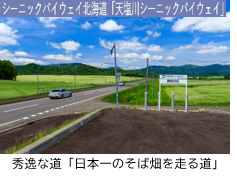 秀逸な道「日本一のそば畑を走る道」